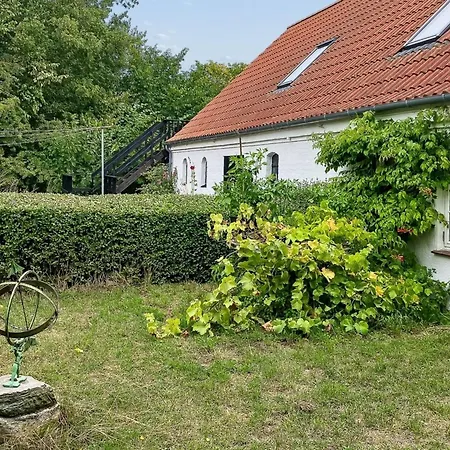 Hening - 150m From The Sea By Interhome Appartement *